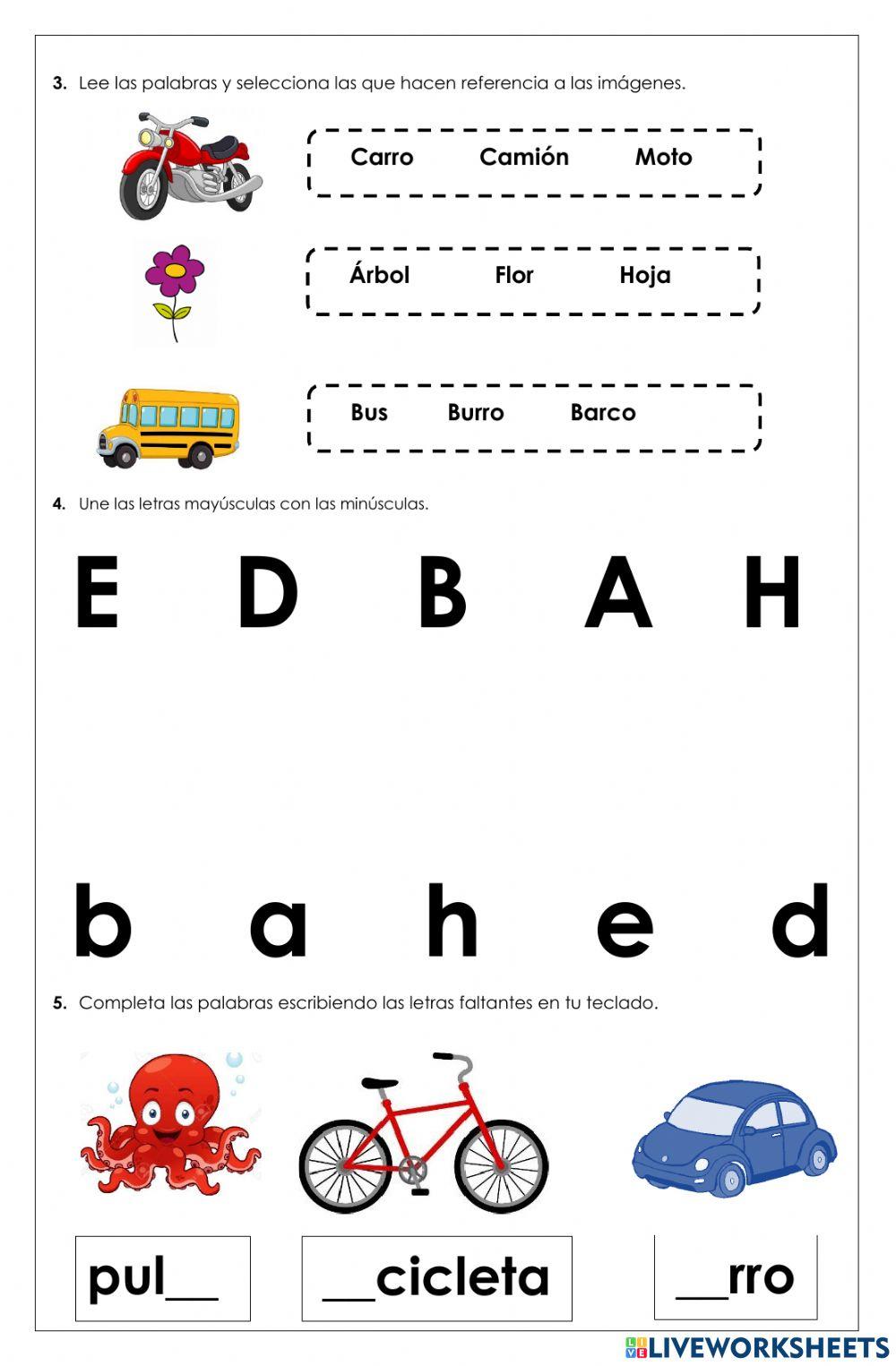 Evaluación bimestral virtual de lenguaje-Alana Forero