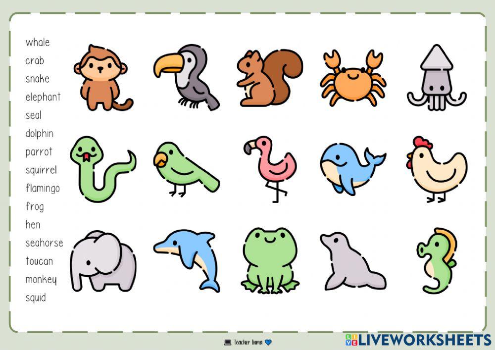 Animals Vocabulary