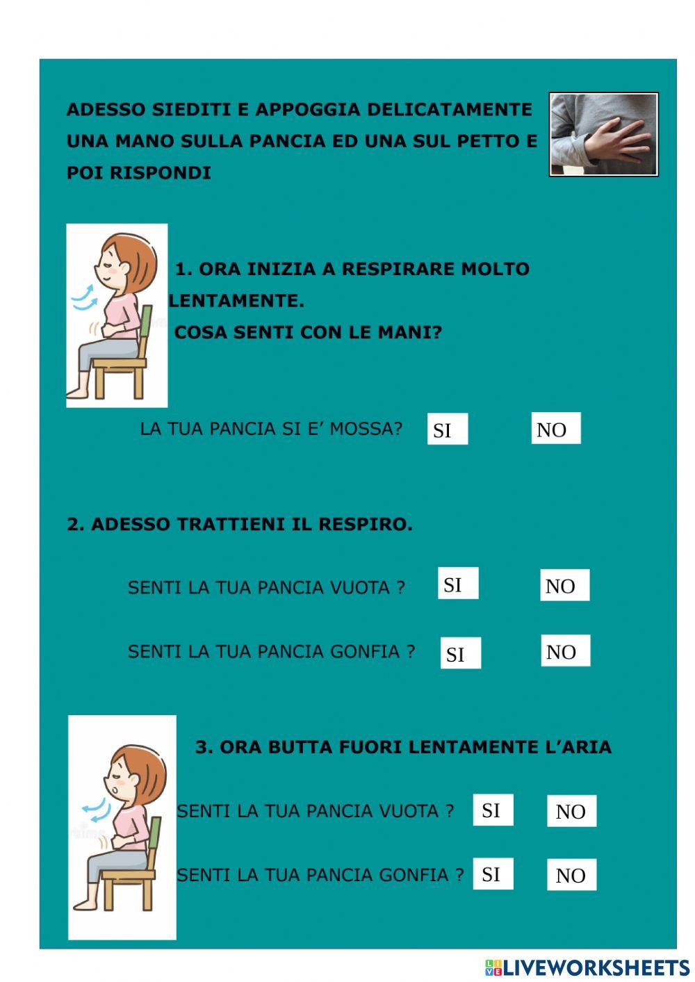 Apparato respiratorio Apparato respiratorio