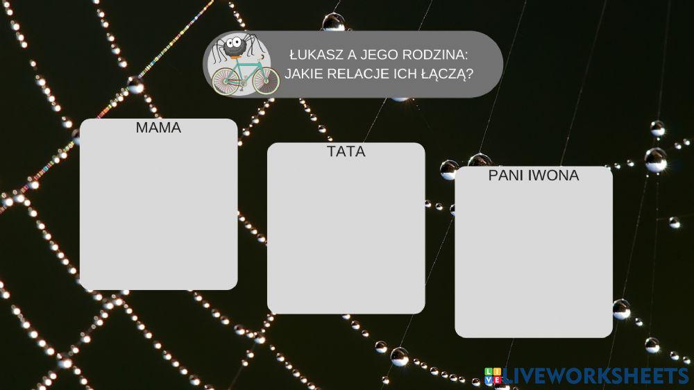 -Pajączek na rowerze- relacje Łukasza