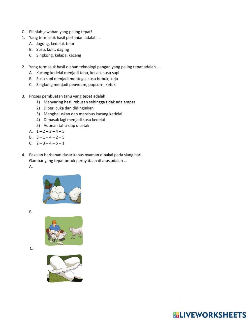 Ulangan B.Indonesia tema 7