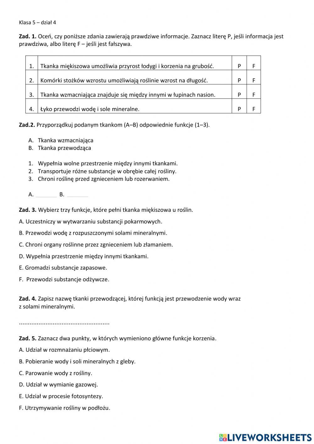 Klasa 5 - dział 4