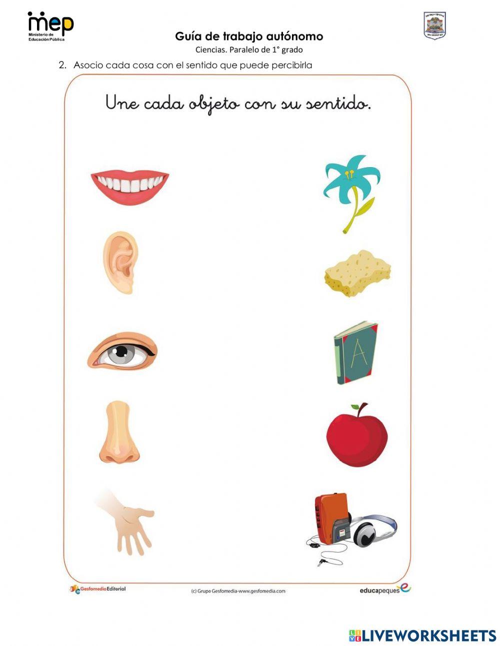 GTA -1 Ciencias Abril