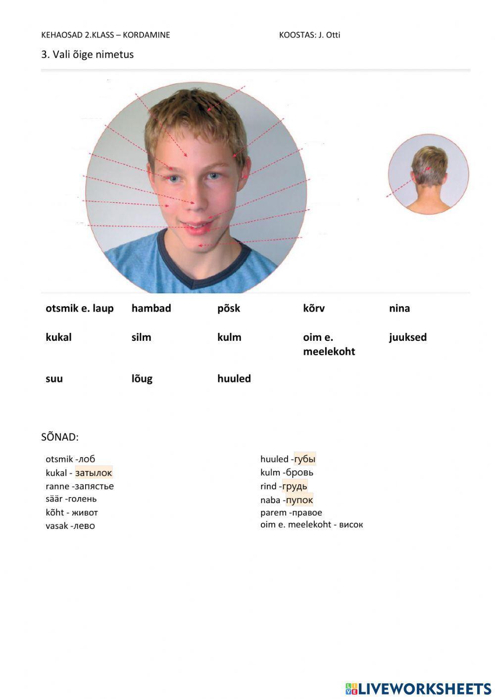 Kehaosad - teadmiste kontroll