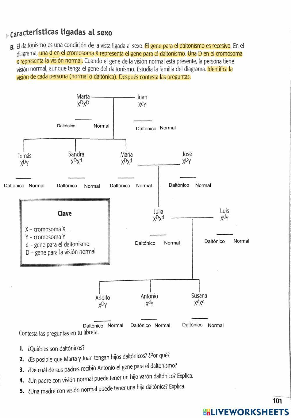Herencia ligada al sexo