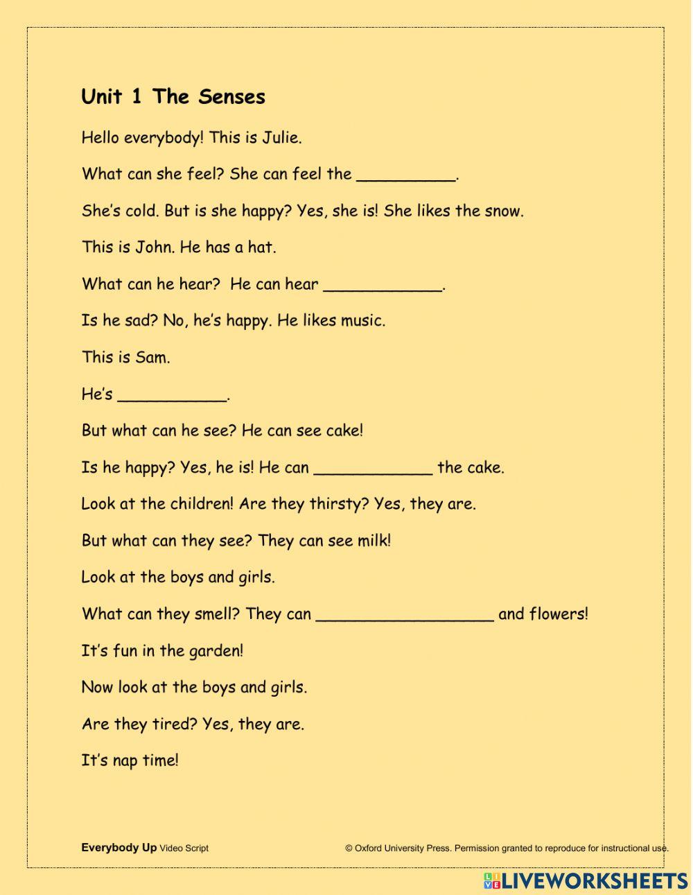 Video script - the senses