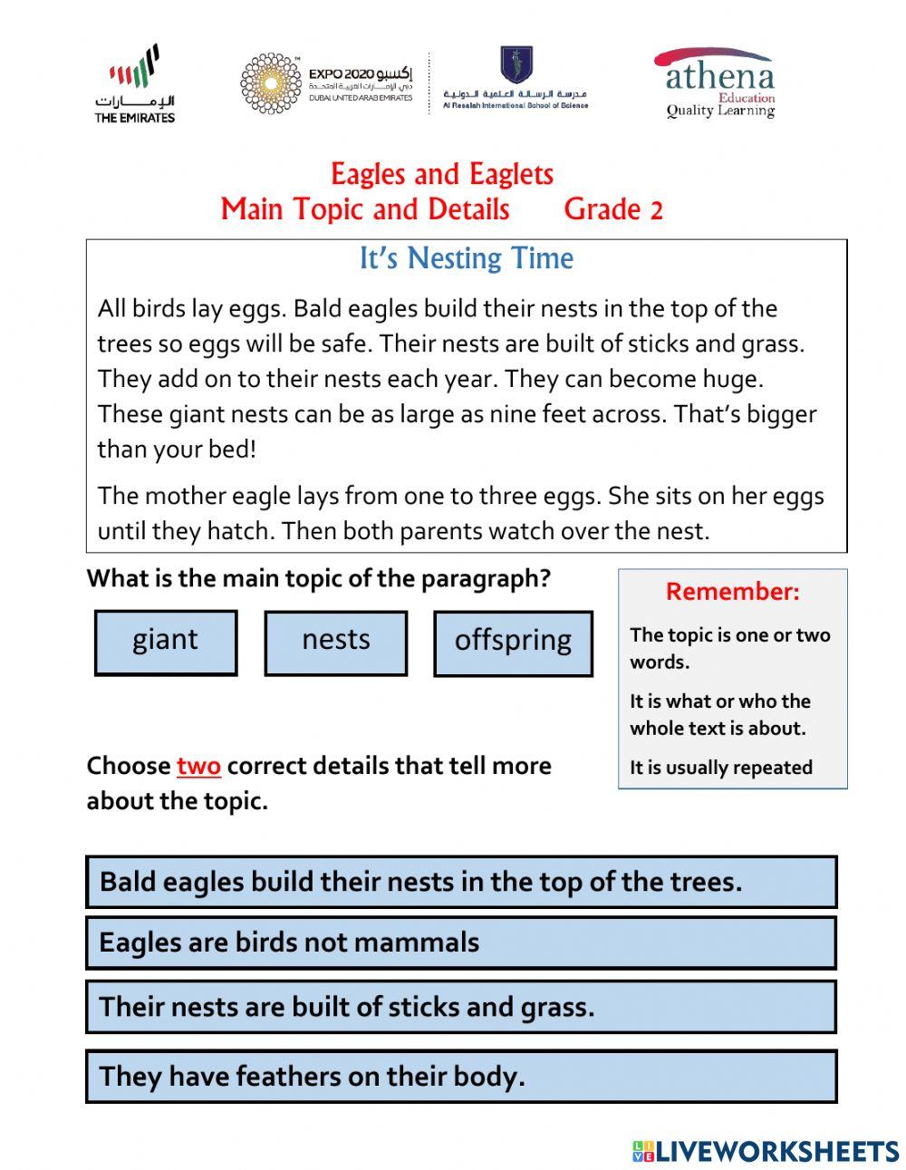 Eagles and Eaglets - Main Topic and Details