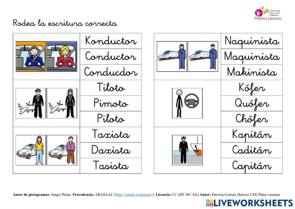 SA Profesiones. Vocabulario (escritura correcta)