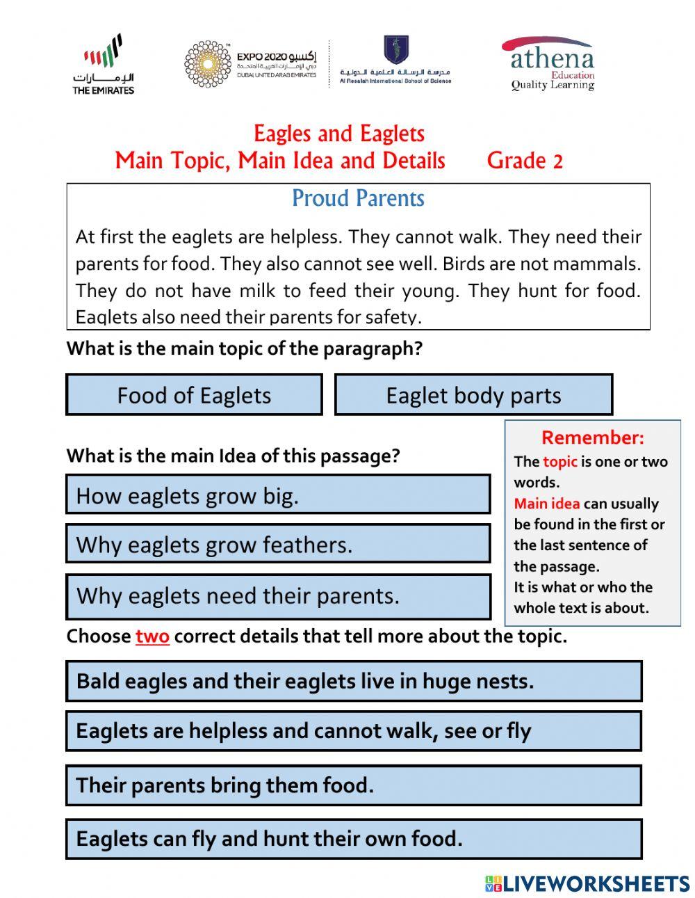 Eagles and Eaglets -Topic,  Main Idea and Details