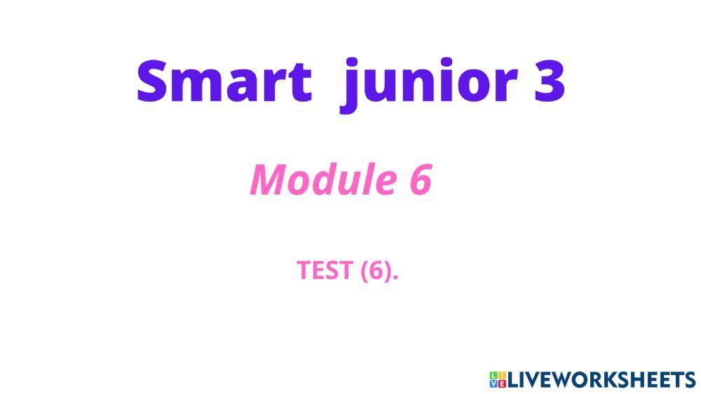 Smart Junior 3 (TEST 6)
