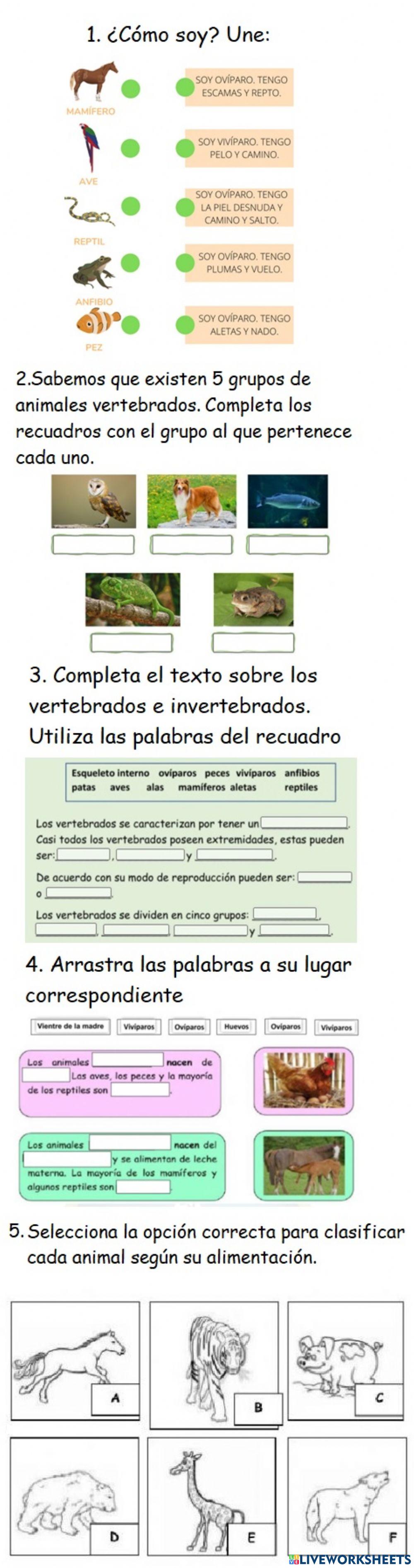 Clasificación de animales