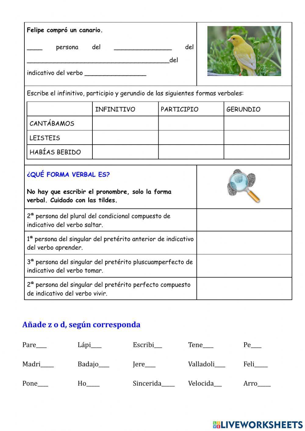 Análisis de verbos y palabras terminadas en -z y -d