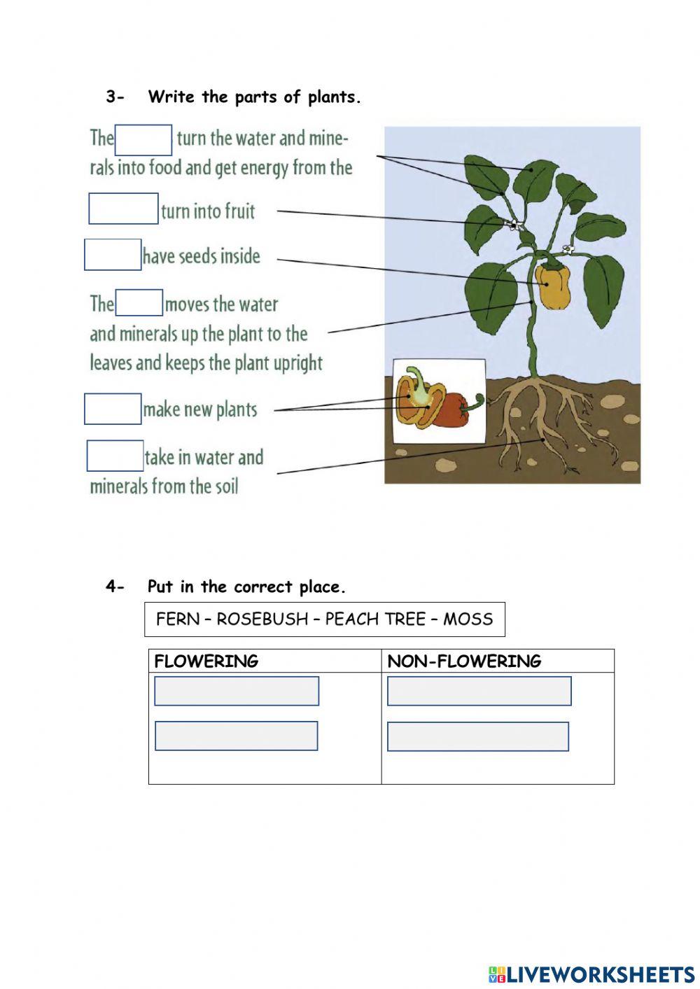 Repaso Natural Lesson 5