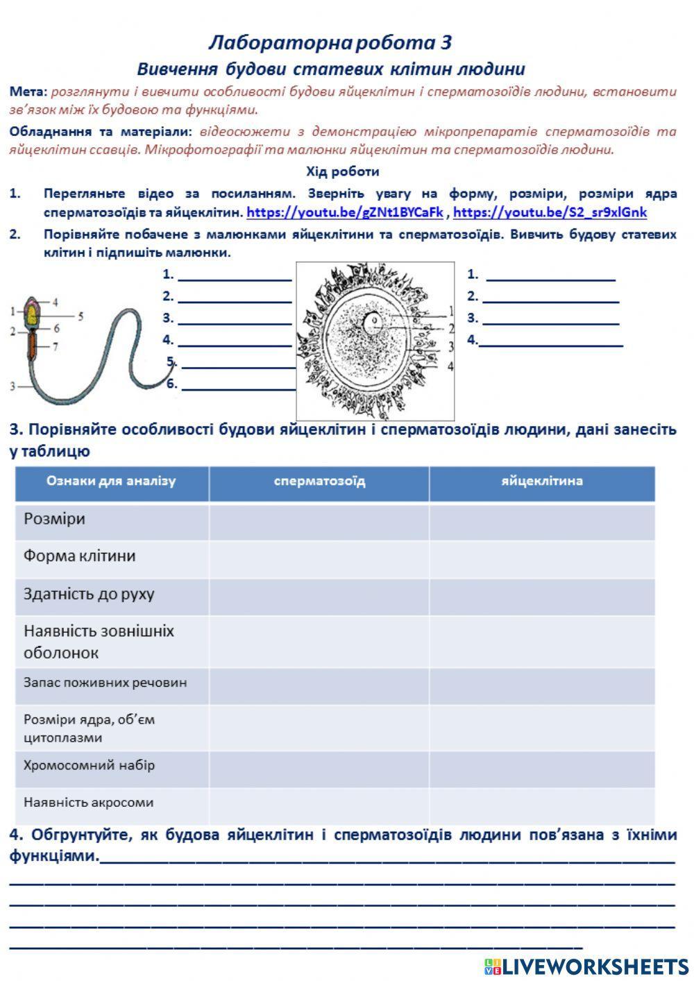 Лабораторна робота 10 клас