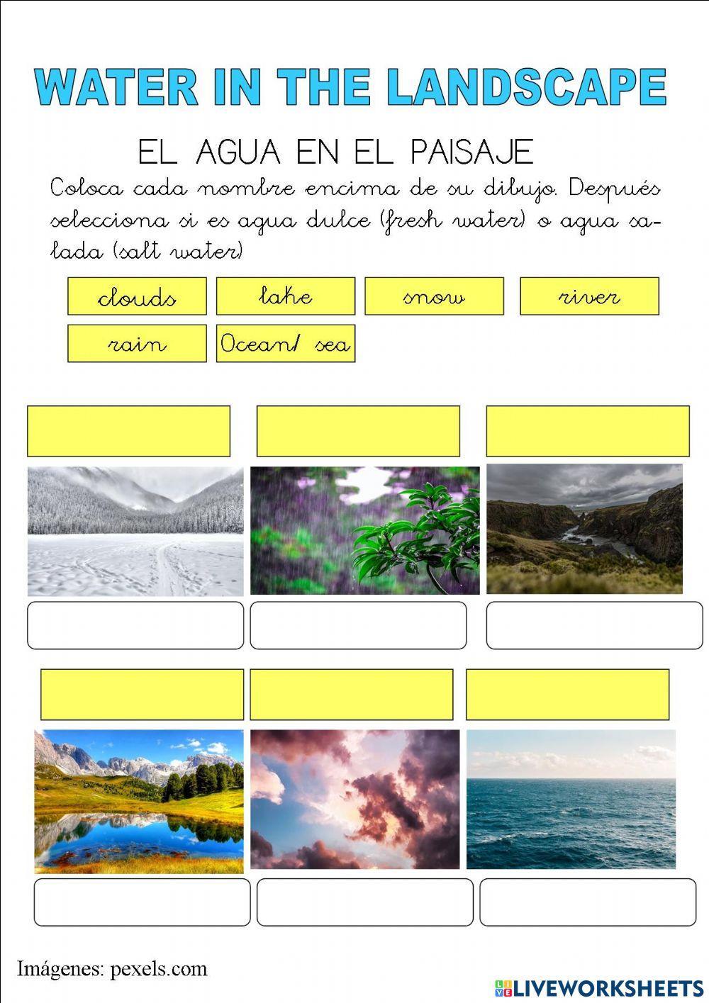 Water in the landscape