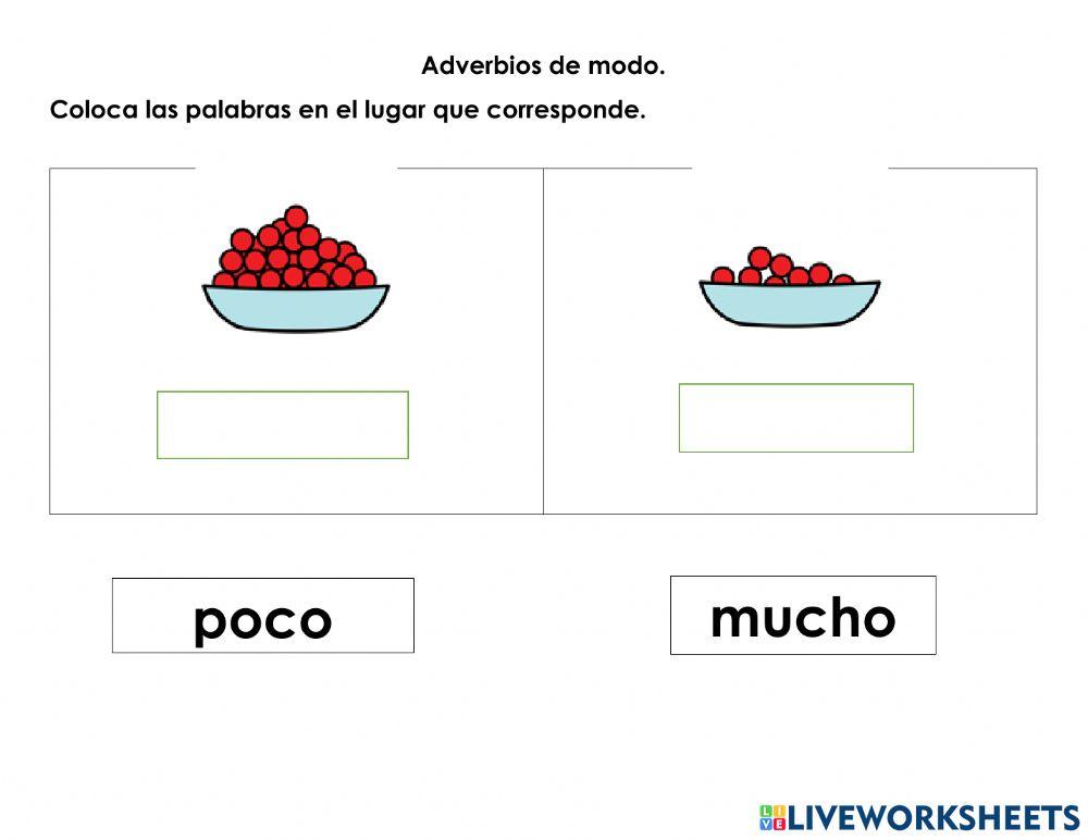 Adverbios de cantidad y tiempo.