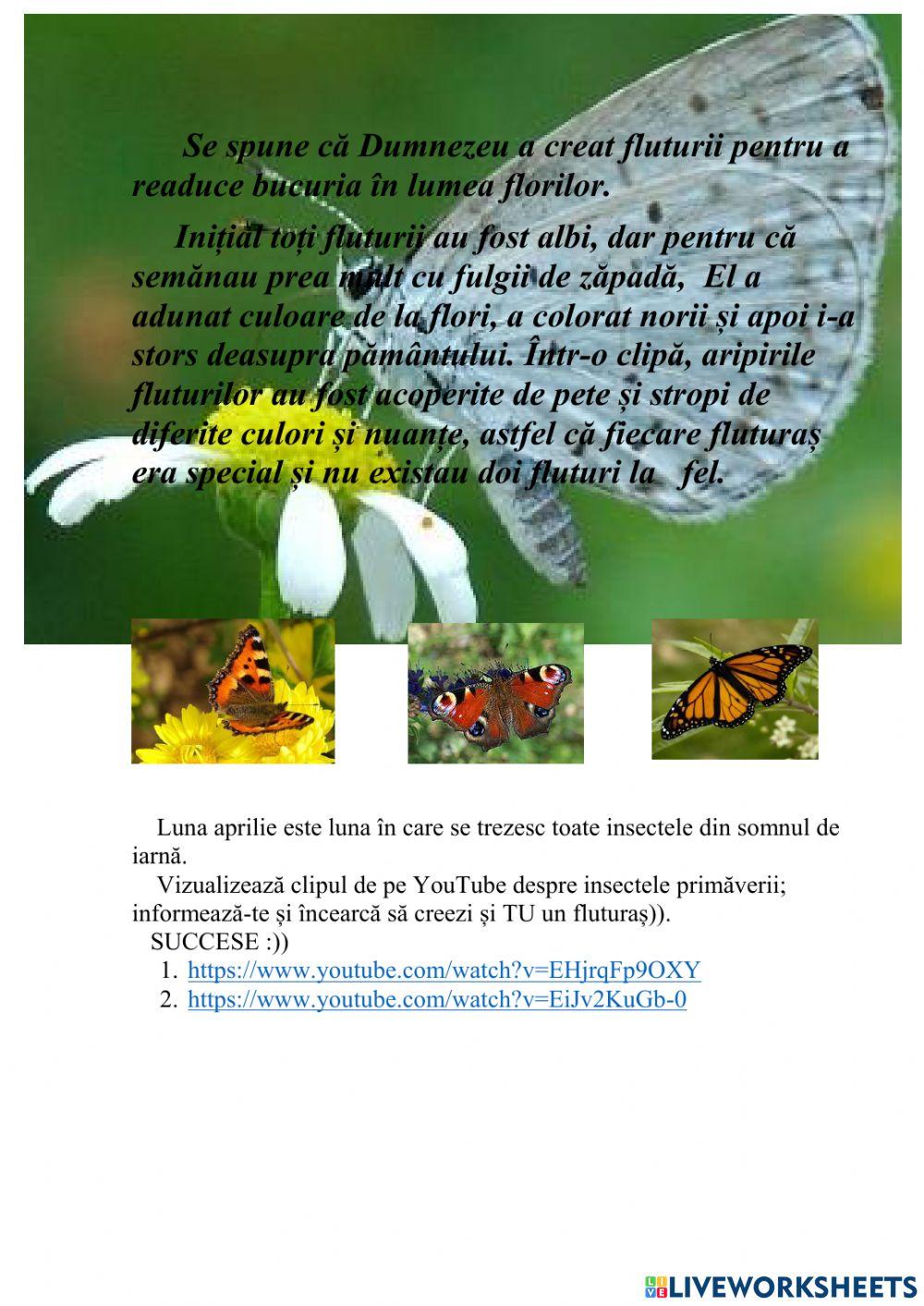 Comunicare,explorare,confecționare