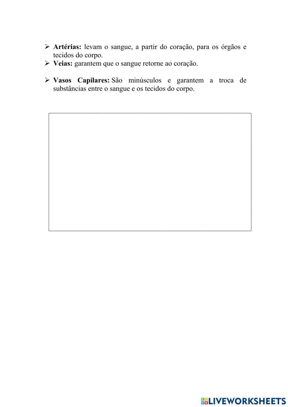 Sistema Circulatório