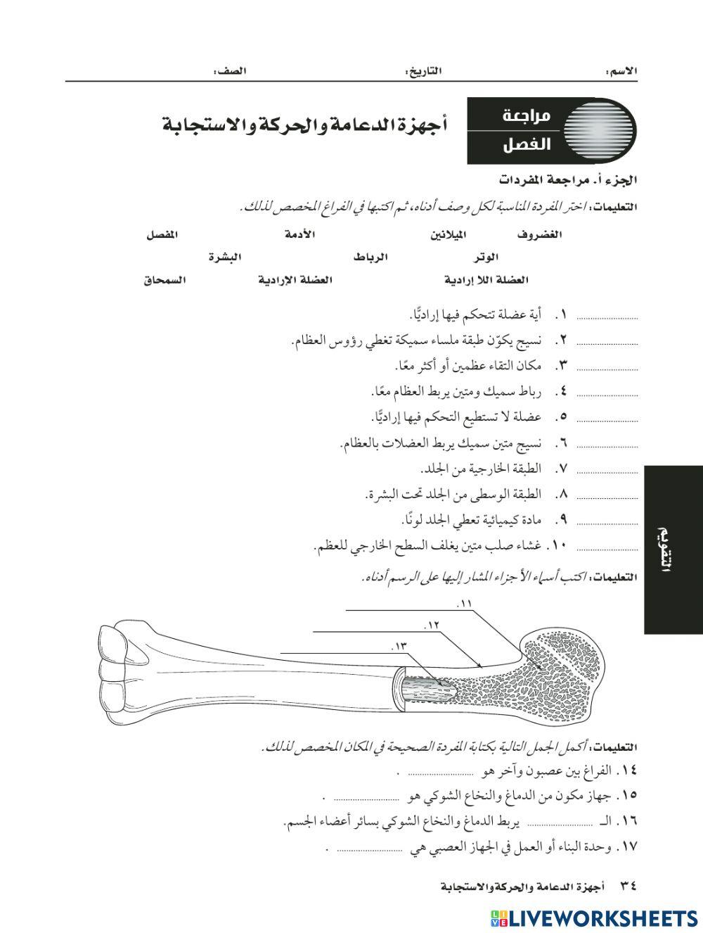 الجهاز العصبي والجهاز الهيكلي