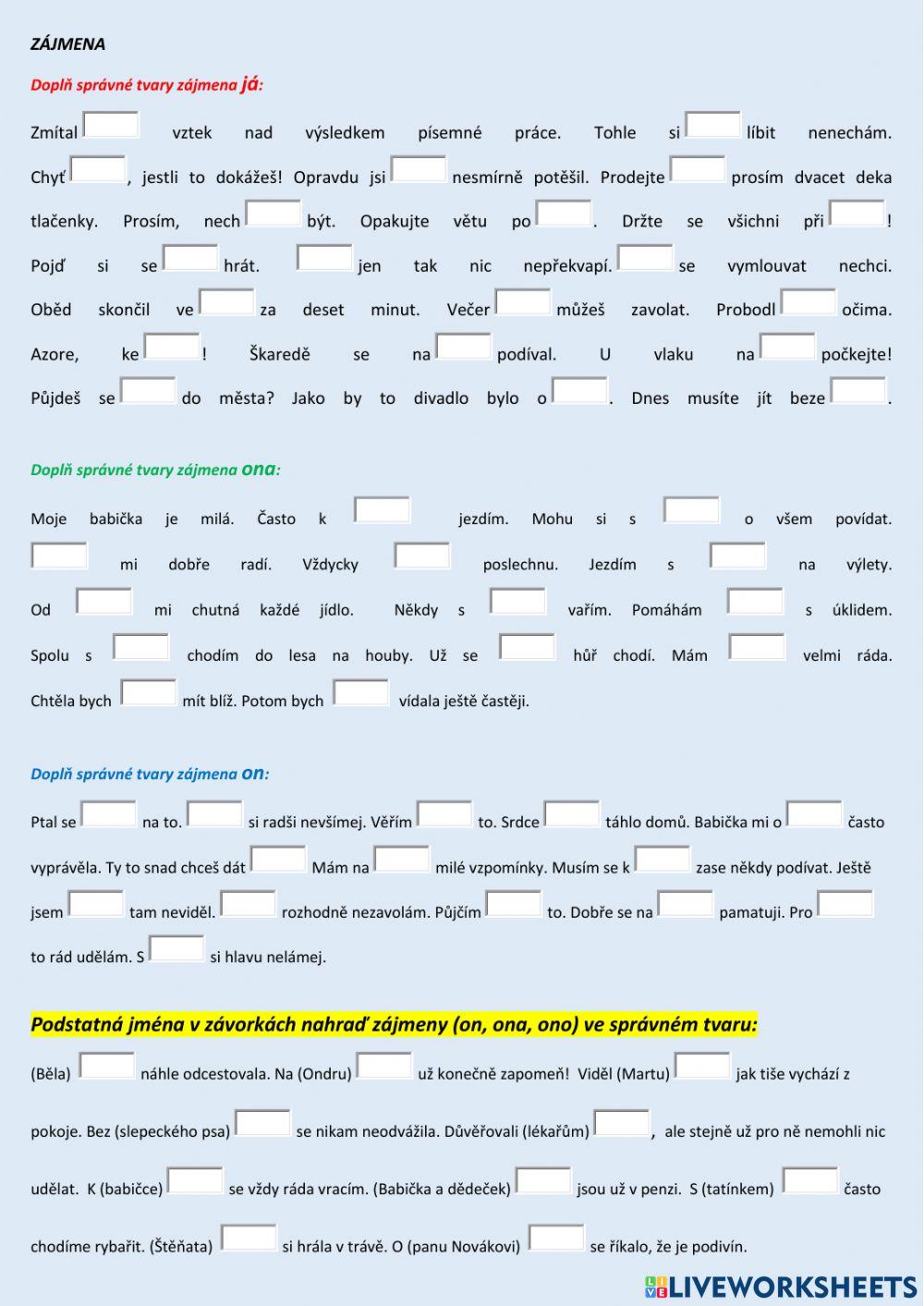 Zájmena - tvarosloví - verze 1