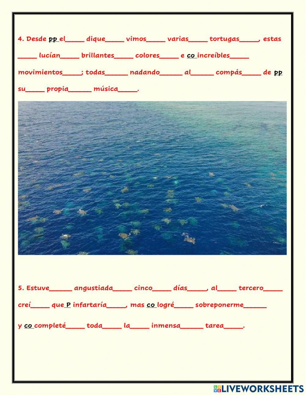 Repaso funciones gramaticales