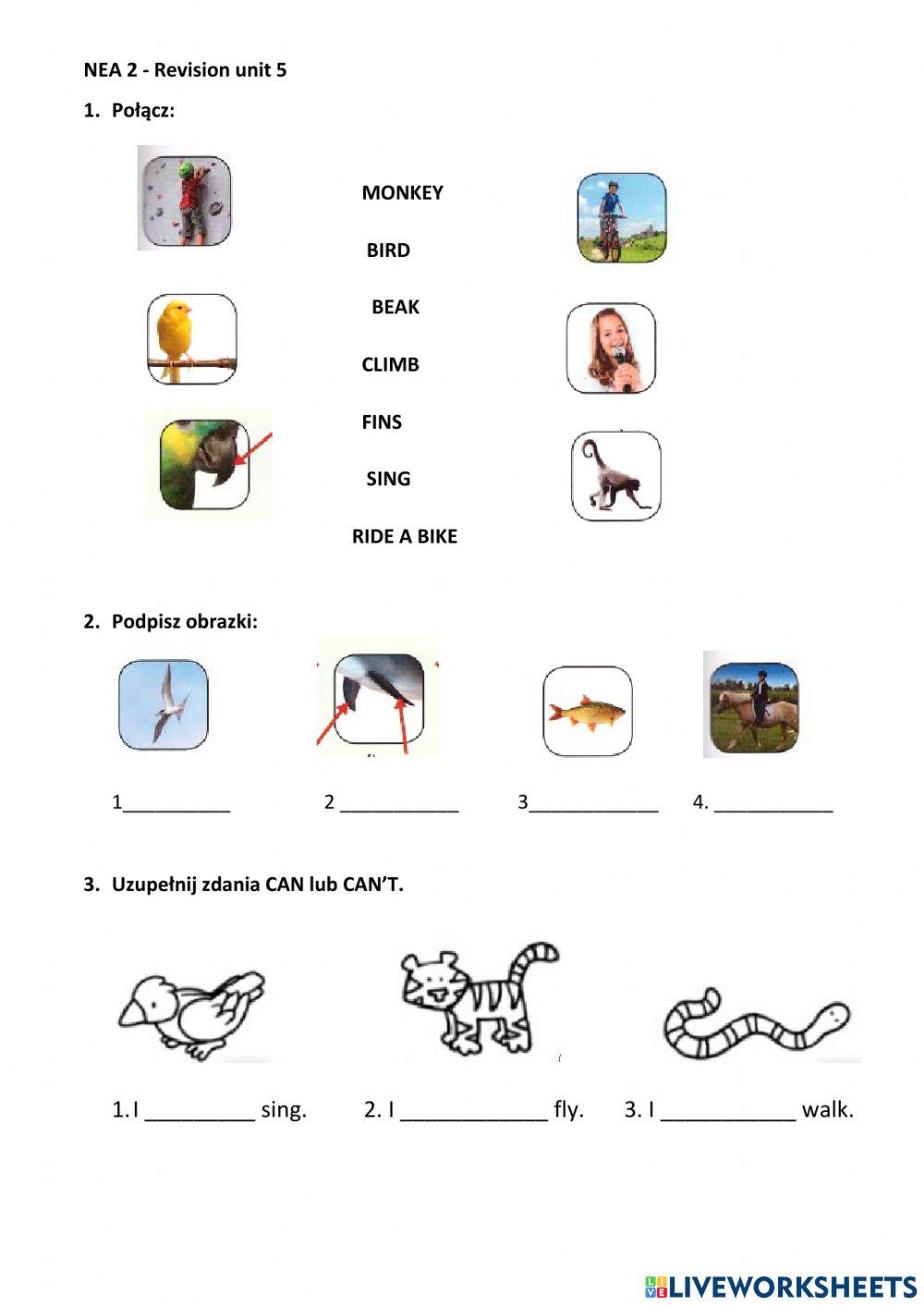 6534145 NEA 2 Unit 5 revision RG LiveWorksheets