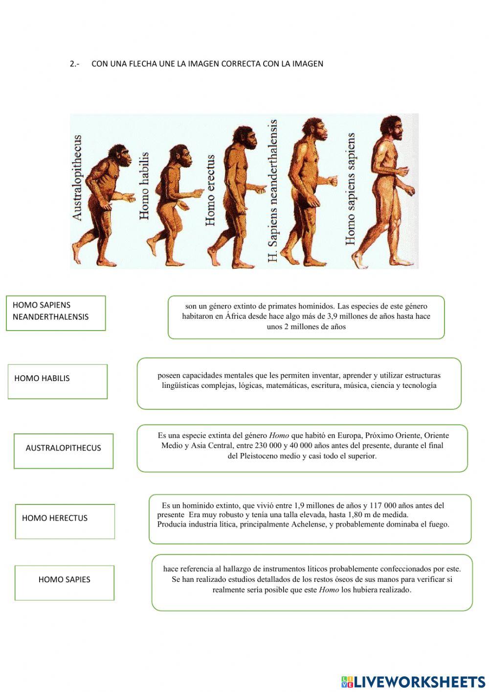 Evaluación de ciencias sociales