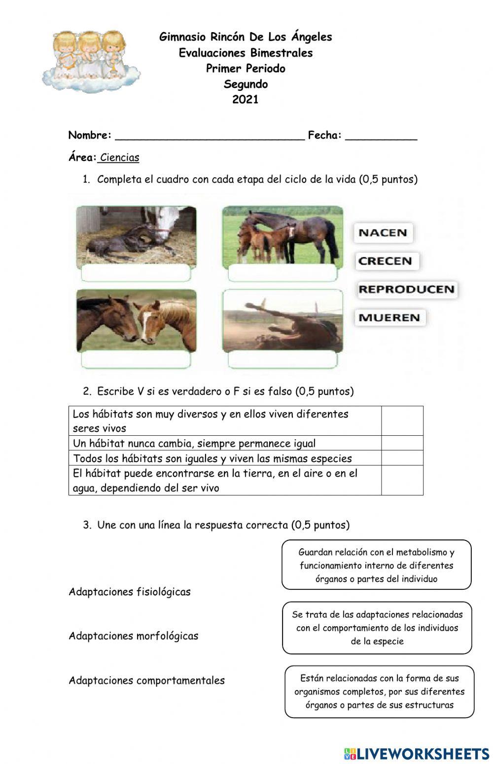 Evaluaion de ciencias