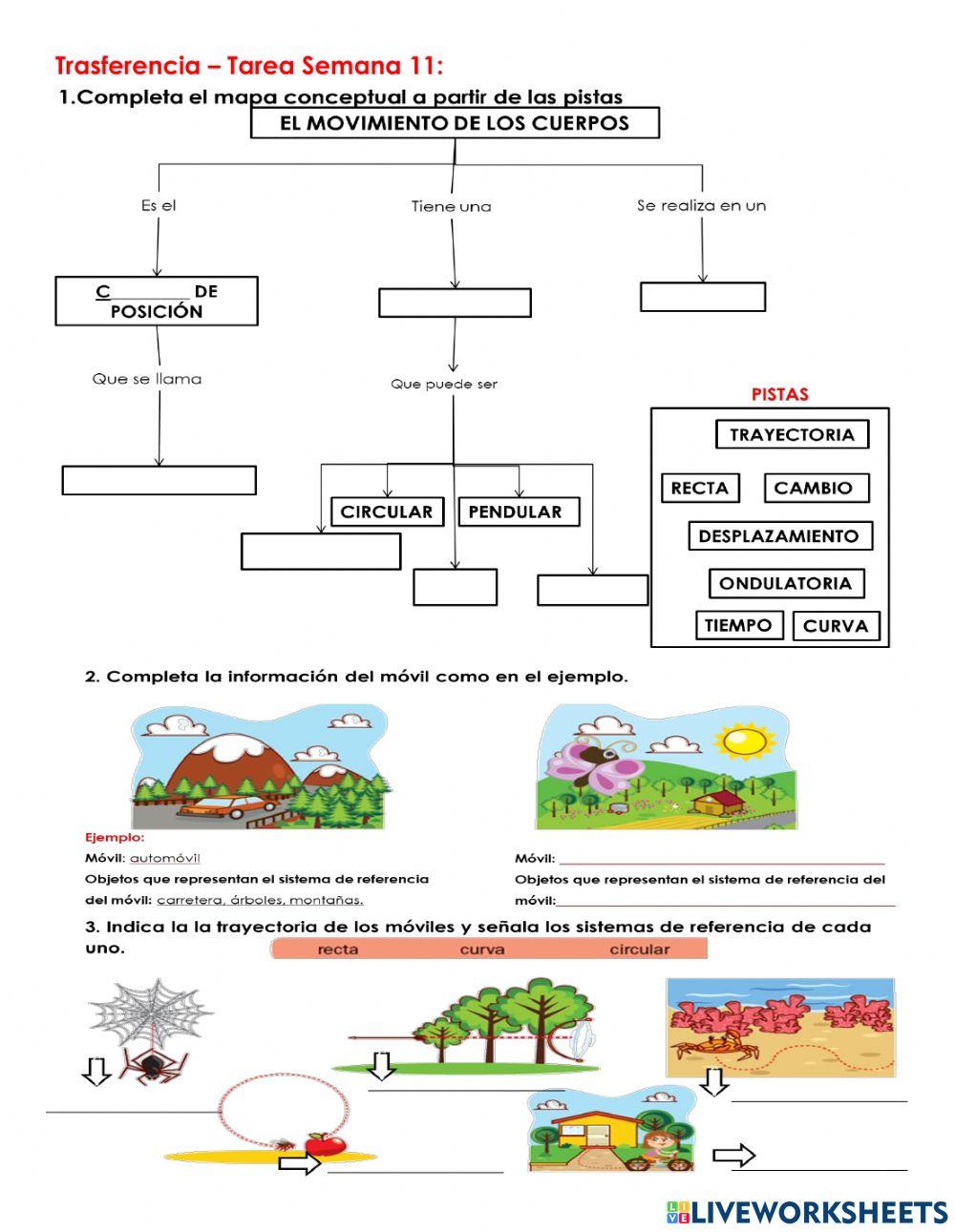 C.N-Transferencia Semana 11
