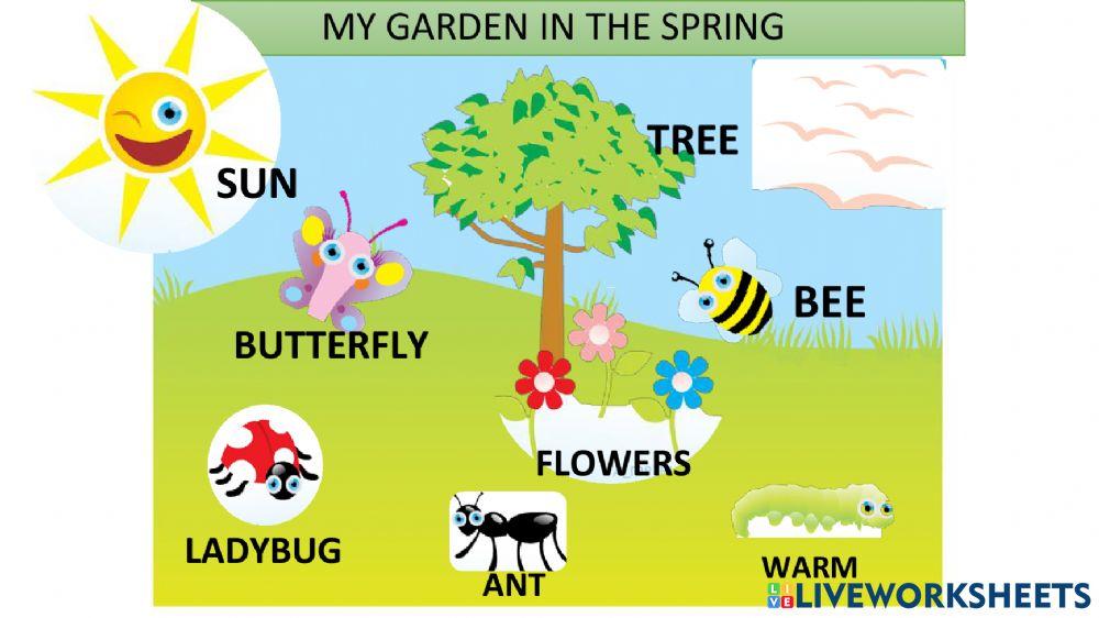 My garden in the spring!