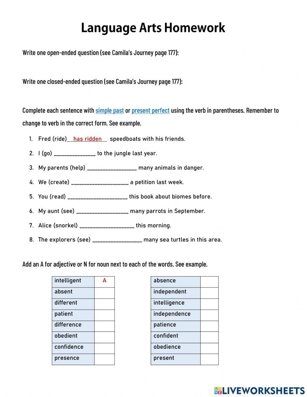Camila's Journey Homework