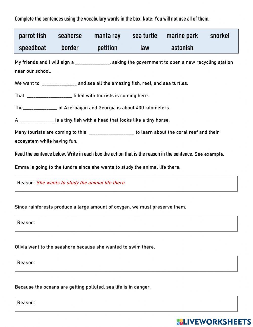 Camila's Journey Homework