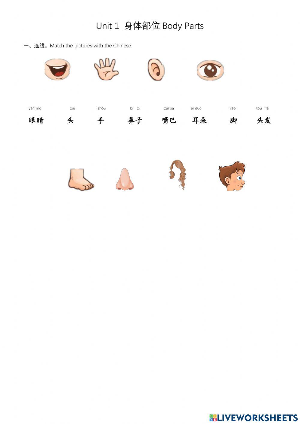 G1 T3 U1-2 身体部位-Yellow