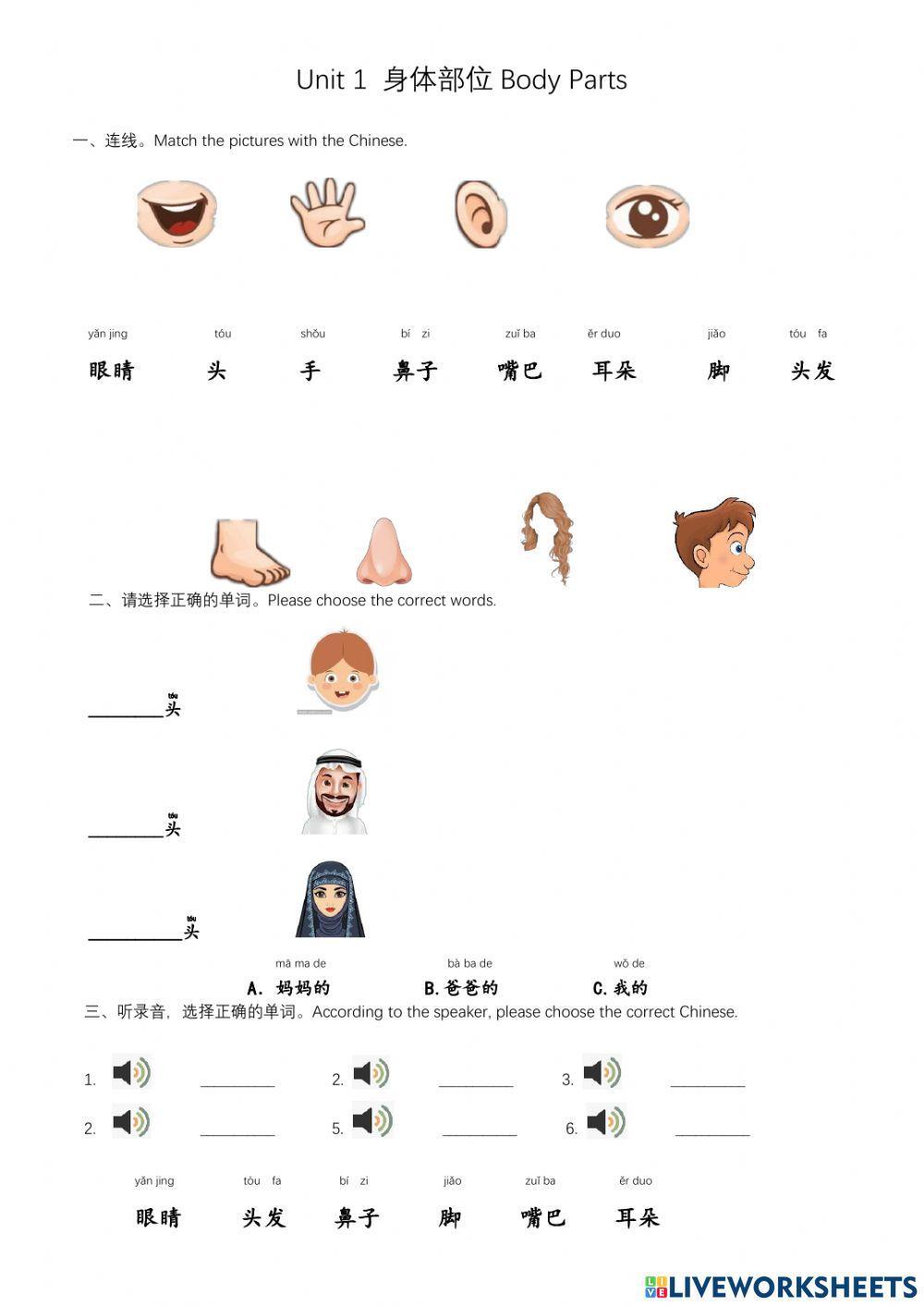 Gr1 T3 U1-2 身体部位 Green