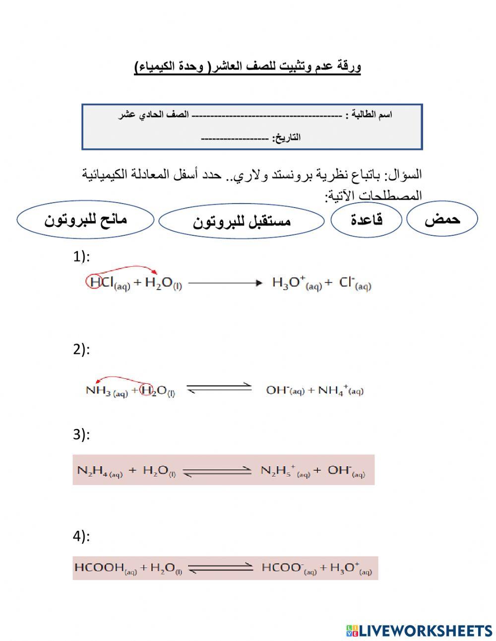 نشاط دعم وتثبيت2
