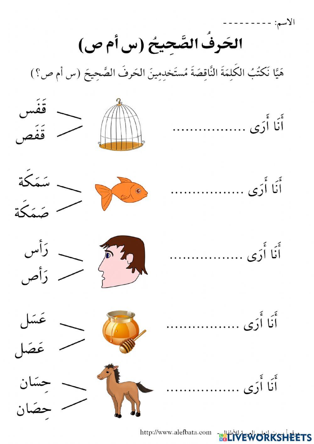 اللغة العربية