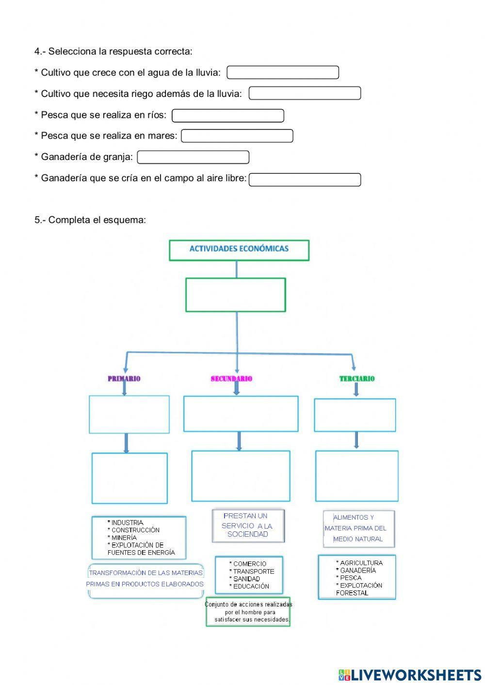 Sectores económicos