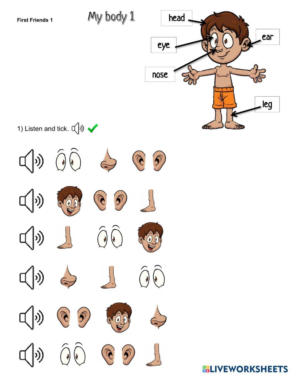 First Friends 1 - My Body 1