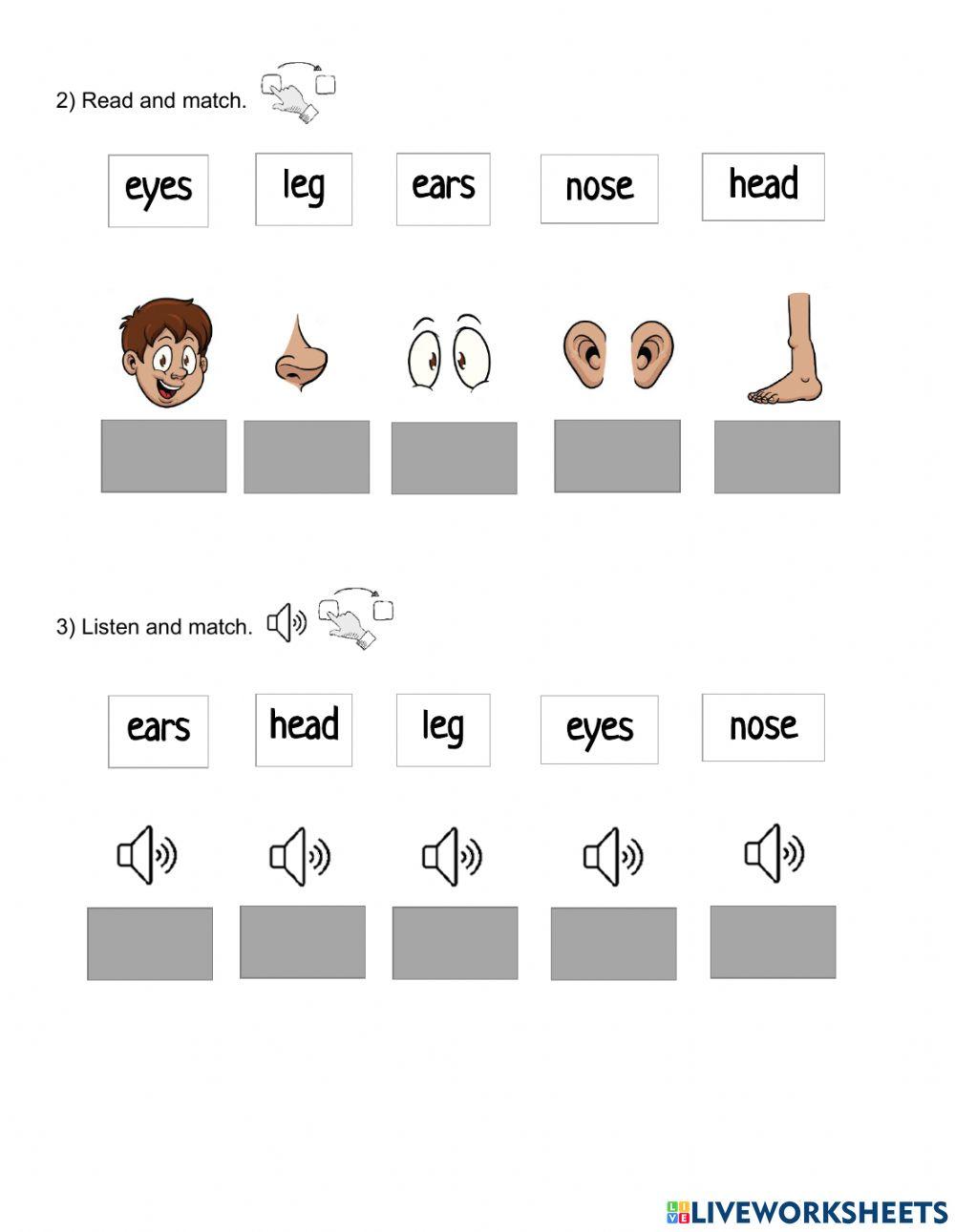 First Friends 1 - My Body 1