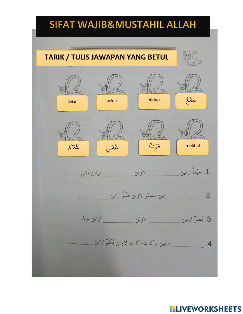 Sifat wajib & sifat mustahil bagi Allah