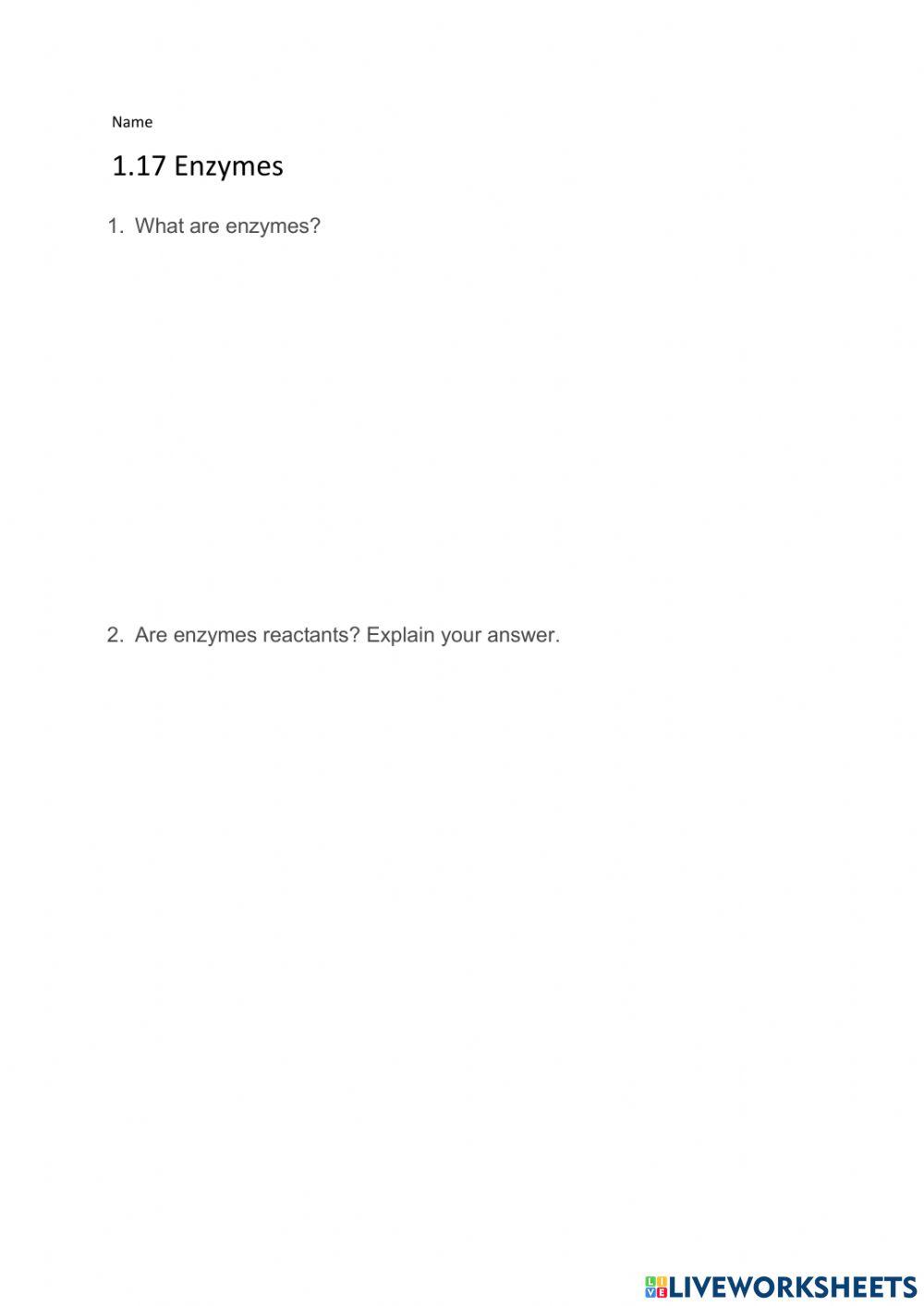 1.17 Enzymes