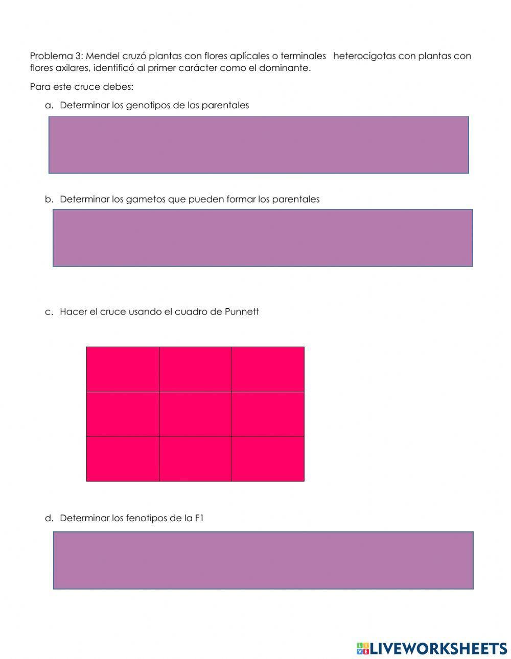 Primera ley de Mendel