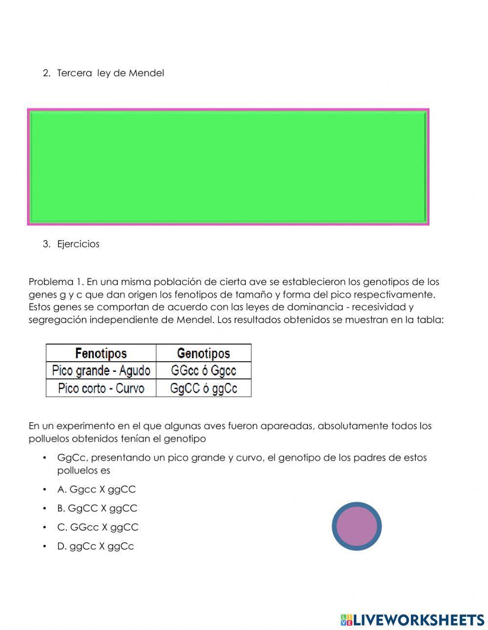 Segunda y tercera ley de Mendel