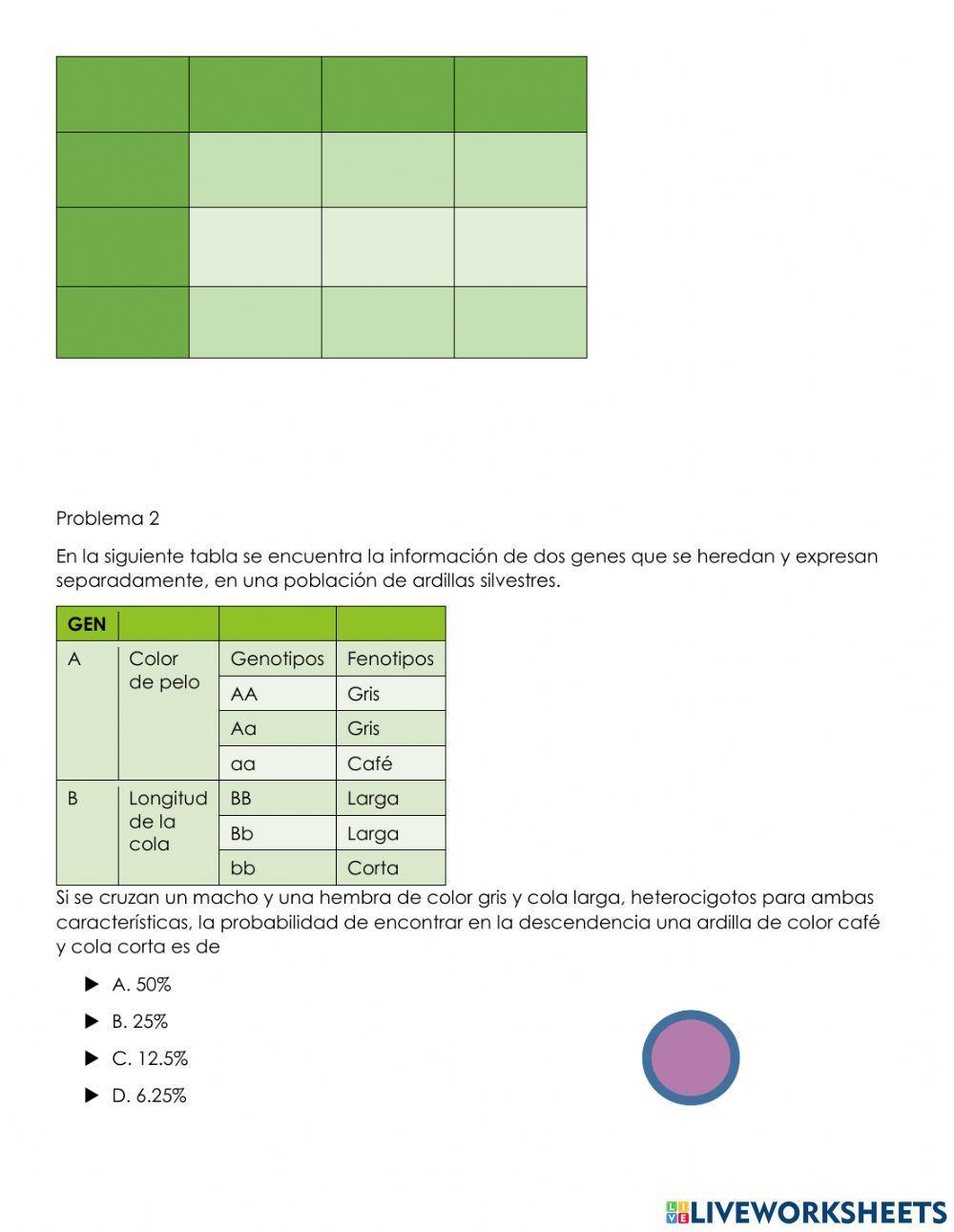 Segunda y tercera ley de Mendel