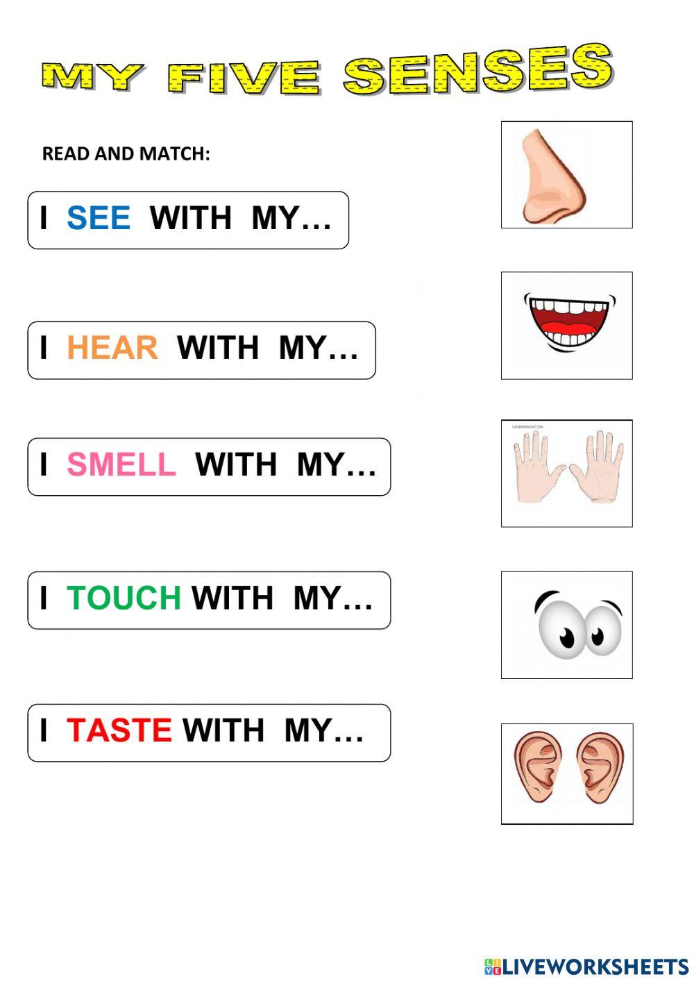 My five senses: read and match