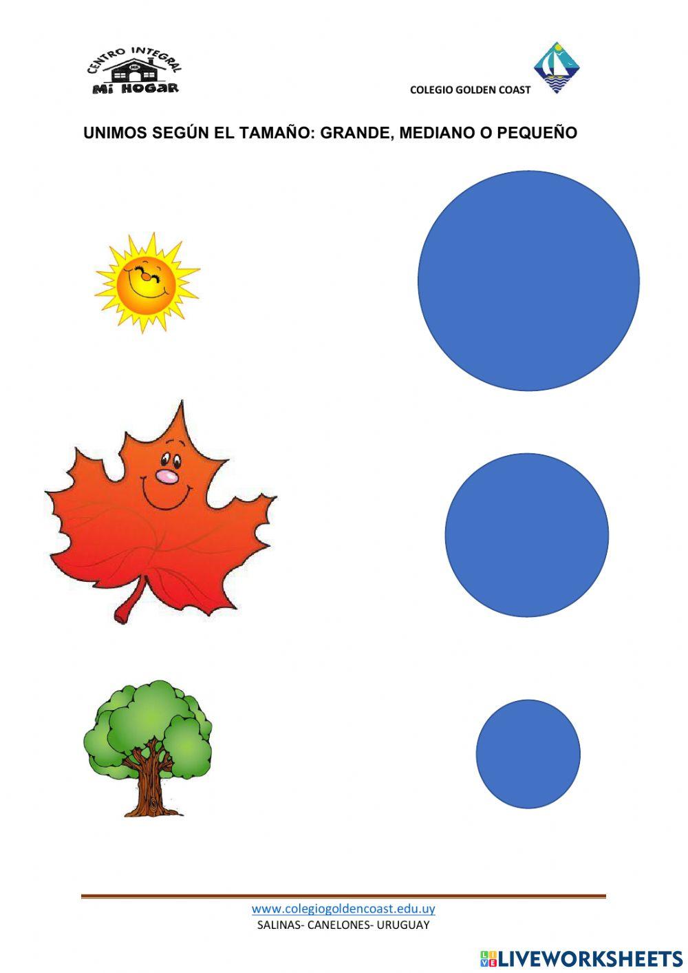 Diferenciamos tamaños