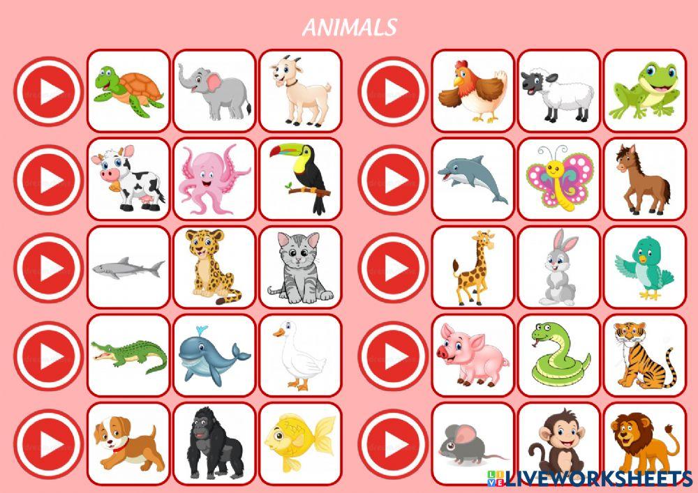 ANIMALS quizz