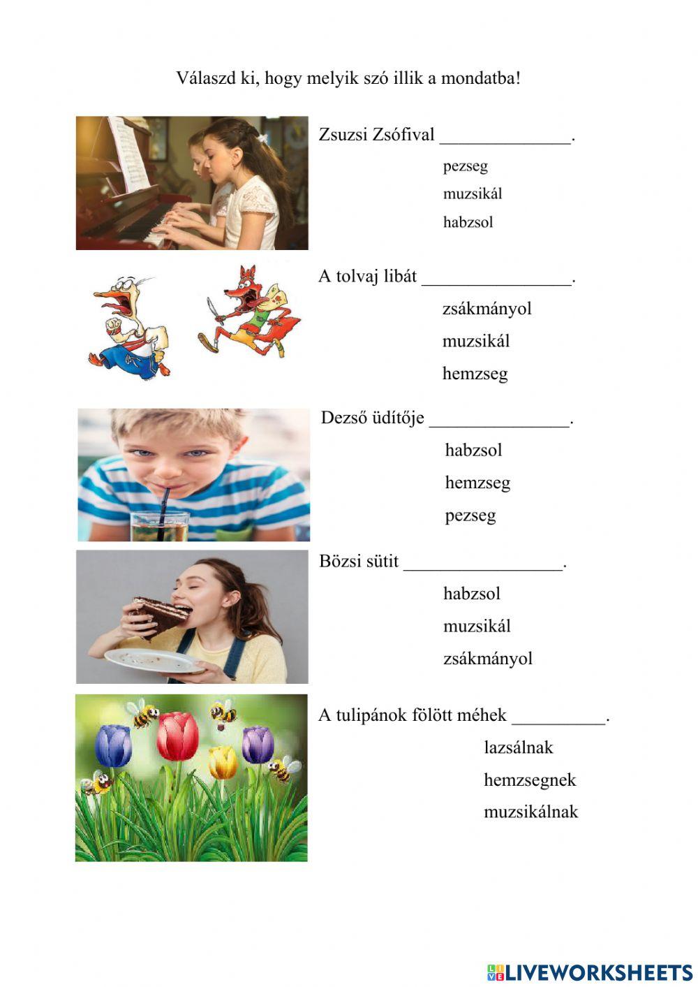 Zs automatizálás mondatokban