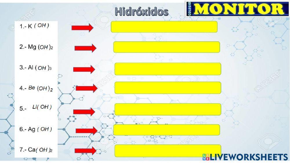 Mundo kids  miss lidia