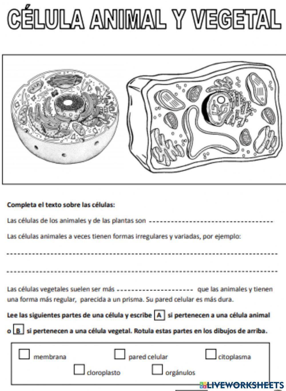 Ciencias de la naturaleza